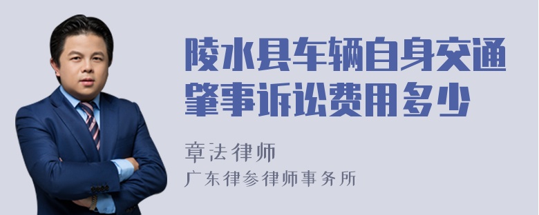 陵水县车辆自身交通肇事诉讼费用多少