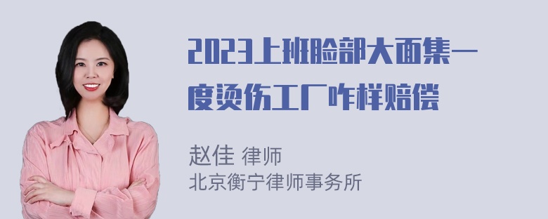 2023上班脸部大面集一度烫伤工厂咋样赔偿