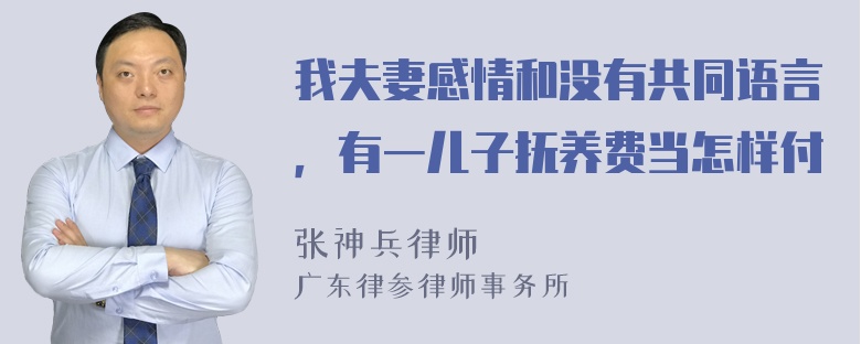 我夫妻感情和没有共同语言，有一儿子抚养费当怎样付