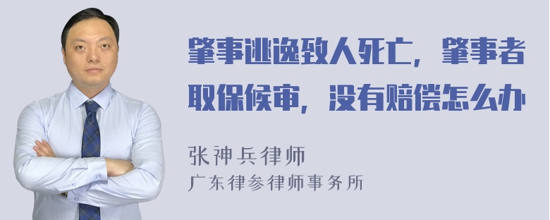 肇事逃逸致人死亡，肇事者取保候审，没有赔偿怎么办