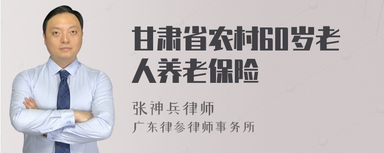 甘肃省农村60岁老人养老保险