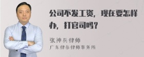 公司不发工资，现在要怎样办，打官司吗？