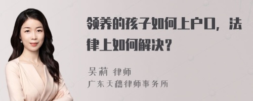 领养的孩子如何上户口，法律上如何解决？