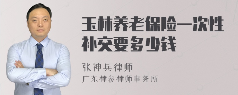 玉林养老保险一次性补交要多少钱