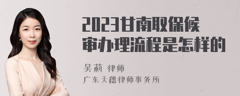 2023甘南取保候审办理流程是怎样的