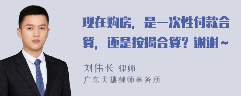 现在购房，是一次性付款合算，还是按揭合算？谢谢～