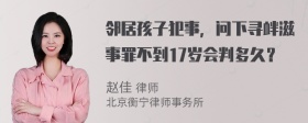 邻居孩子犯事，问下寻衅滋事罪不到17岁会判多久？