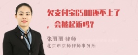 欠支付宝6500还不上了，会被起诉吗？