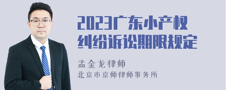 2023广东小产权纠纷诉讼期限规定