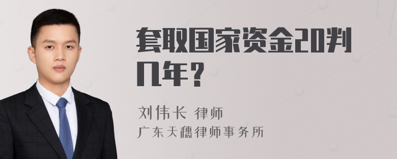 套取国家资金20判几年？