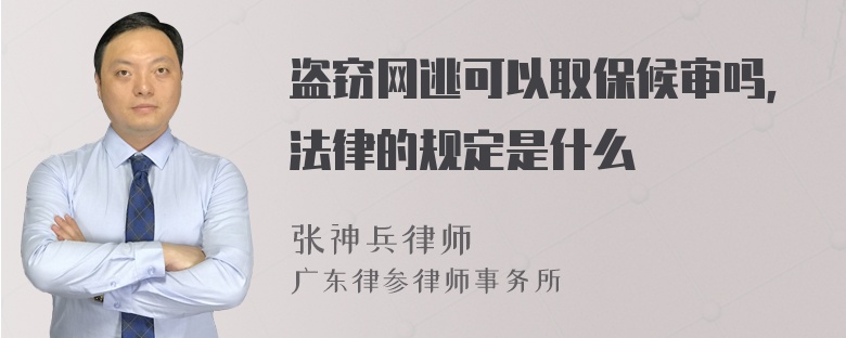 盗窃网逃可以取保候审吗，法律的规定是什么