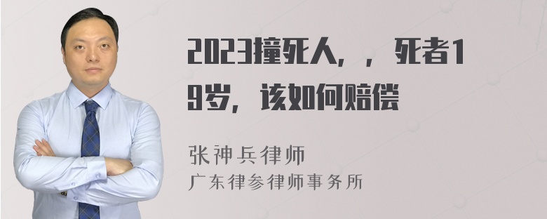 2023撞死人，，死者19岁，该如何赔偿