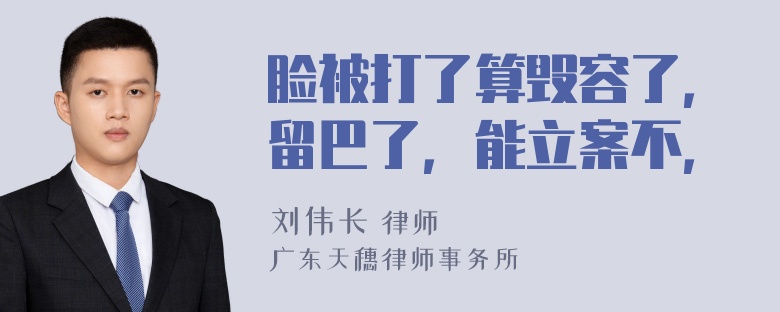 脸被打了算毁容了，留巴了，能立案不，