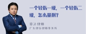 一个轻伤一级，一个轻伤二级，怎么量刑？