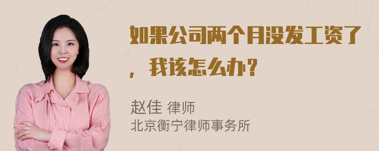 如果公司两个月没发工资了，我该怎么办？