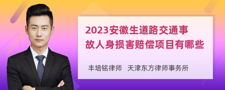 2023安徽生道路交通事故人身损害赔偿项目有哪些