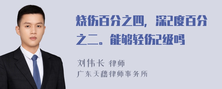 烧伤百分之四，深2度百分之二。能够轻伤2级吗