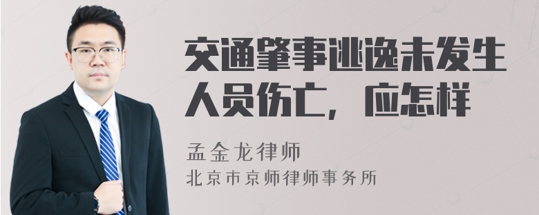 交通肇事逃逸未发生人员伤亡，应怎样