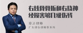 右炫骨骨折和右挠神经损害够几级伤残