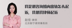 我是想咨询婚内出轨怎么起诉，我想找律师起诉