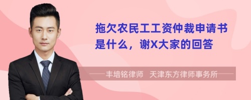 拖欠农民工工资仲裁申请书是什么，谢X大家的回答