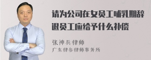 请为公司在女员工哺乳期辞退员工应给予什么补偿