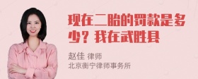 现在二胎的罚款是多少？我在武胜县