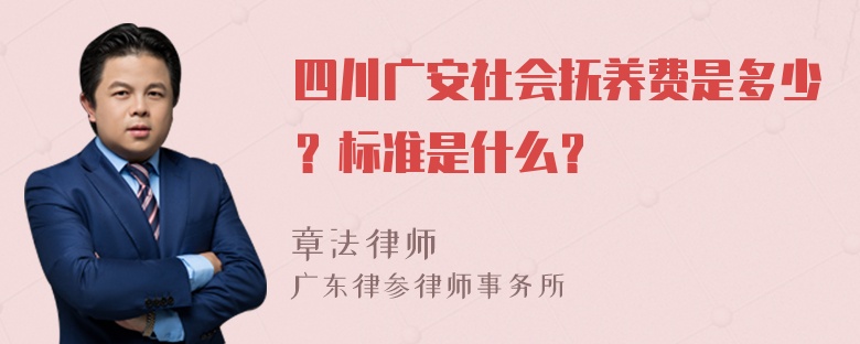 四川广安社会抚养费是多少？标准是什么？