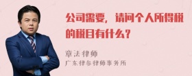 公司需要，请问个人所得税的税目有什么？