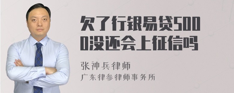 欠了行银易贷5000没还会上征信吗