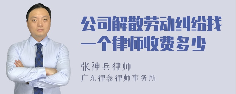 公司解散劳动纠纷找一个律师收费多少