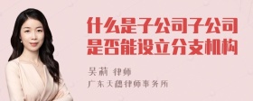 什么是子公司子公司是否能设立分支机构