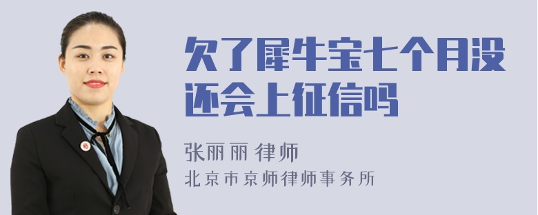 欠了犀牛宝七个月没还会上征信吗