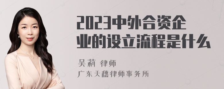 2023中外合资企业的设立流程是什么