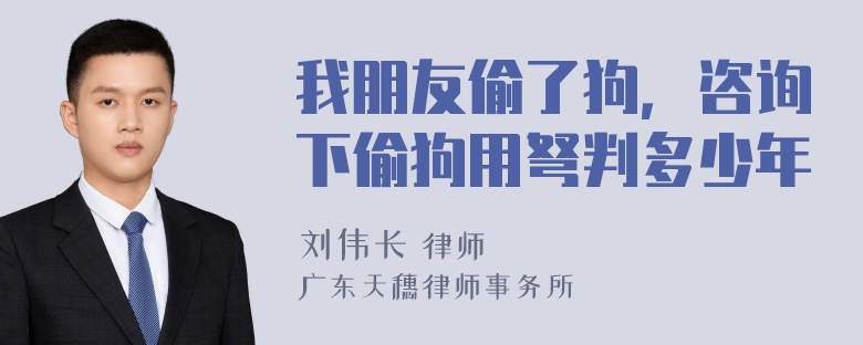 我朋友偷了狗，咨询下偷狗用弩判多少年