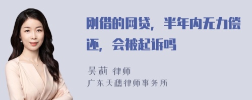 刚借的网贷，半年内无力偿还，会被起诉吗