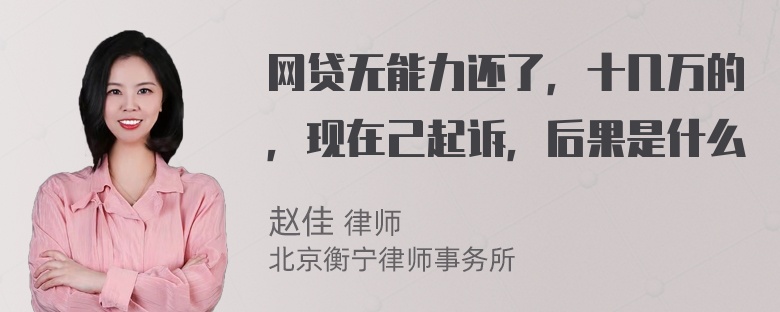 网贷无能力还了，十几万的，现在己起诉，后果是什么