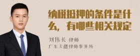 纳税抵押的条件是什么，有哪些相关规定