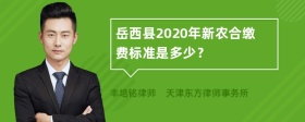 岳西县2020年新农合缴费标准是多少？