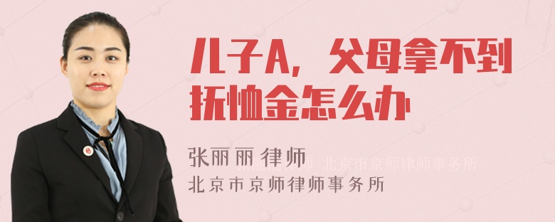 儿子A，父母拿不到抚恤金怎么办