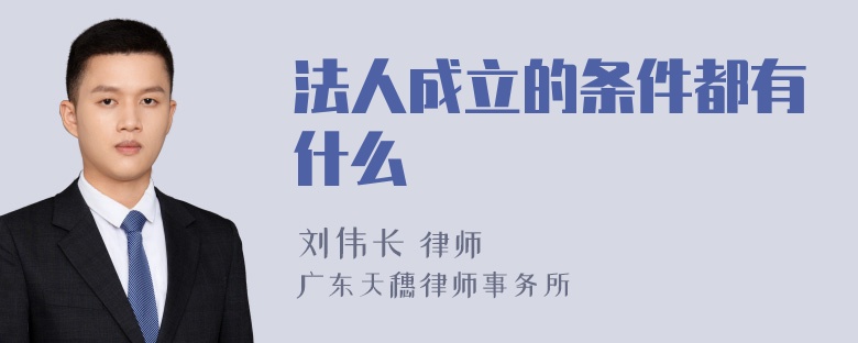 法人成立的条件都有什么