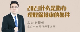 2023什么是指办理取保候审的条件