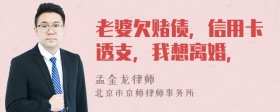 老婆欠赌债，信用卡透支，我想离婚，