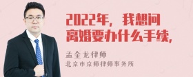 2022年，我想问离婚要办什么手续，