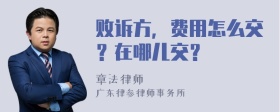 败诉方，费用怎么交？在哪儿交？