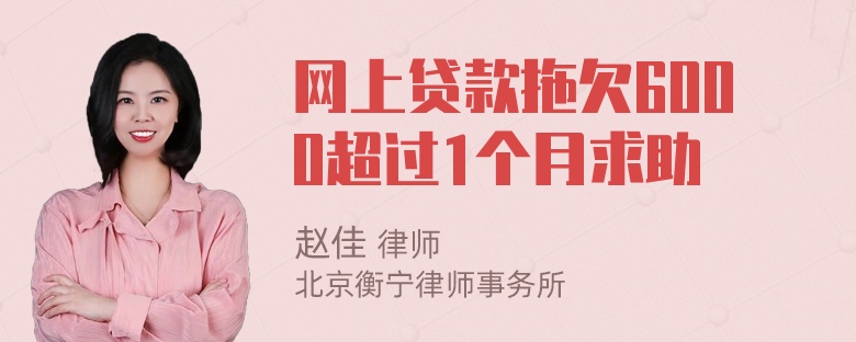 网上贷款拖欠6000超过1个月求助