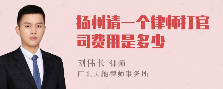 扬州请一个律师打官司费用是多少