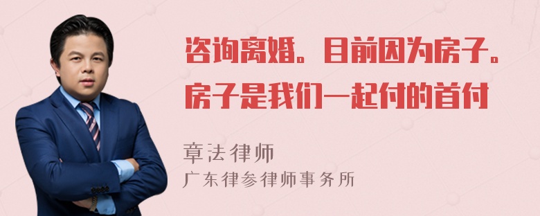 咨询离婚。目前因为房子。房子是我们一起付的首付