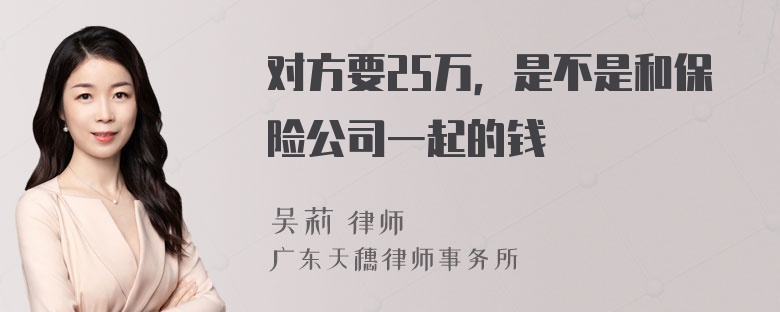 对方要25万，是不是和保险公司一起的钱