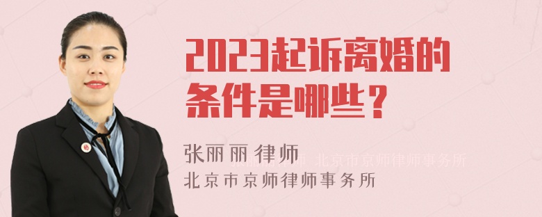 2023起诉离婚的条件是哪些？